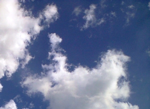 e0183783_315415.jpg
