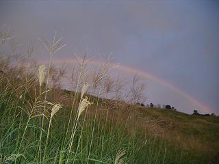 f0149083_22354094.jpg