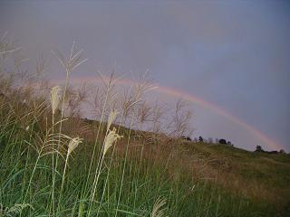 曽爾村へ_f0149083_22354094.jpg