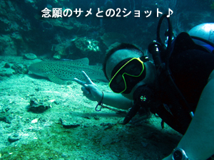 今日こそサメを!!_f0144385_20544833.jpg