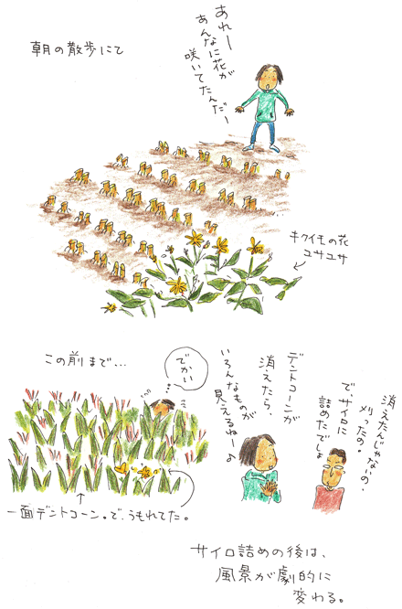 f0236291_9595619.gif