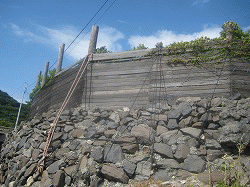 c0078592_23464057.gif