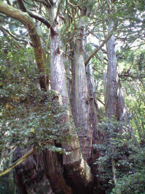 f0101794_13312572.jpg