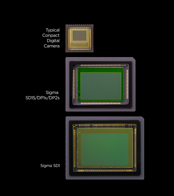 って。ことで 「SD1」 である_c0124795_20355857.jpg
