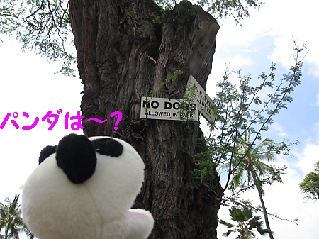 パンダは・・・???_f0033598_23454622.jpg