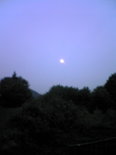 c0048004_18171947.jpg