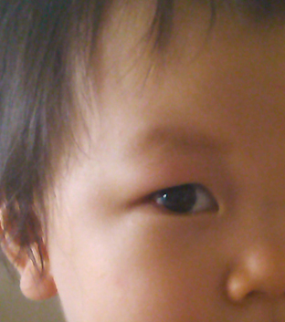 c0205304_94233.jpg