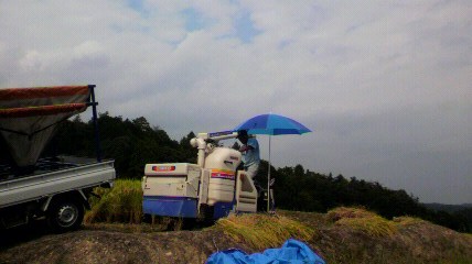 みのりの秋_f0163105_20263295.jpg