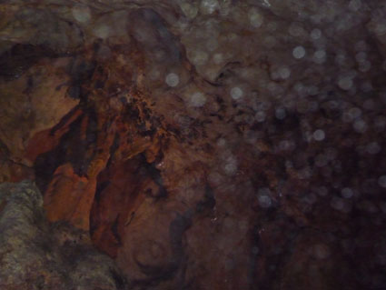 e0072606_21463879.jpg