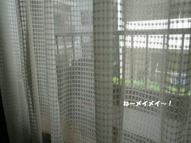 e0094407_12463820.jpg