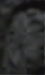 e0103408_2243214.gif