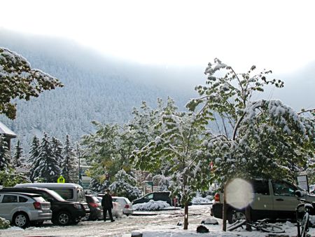 b0051109_8254222.jpg