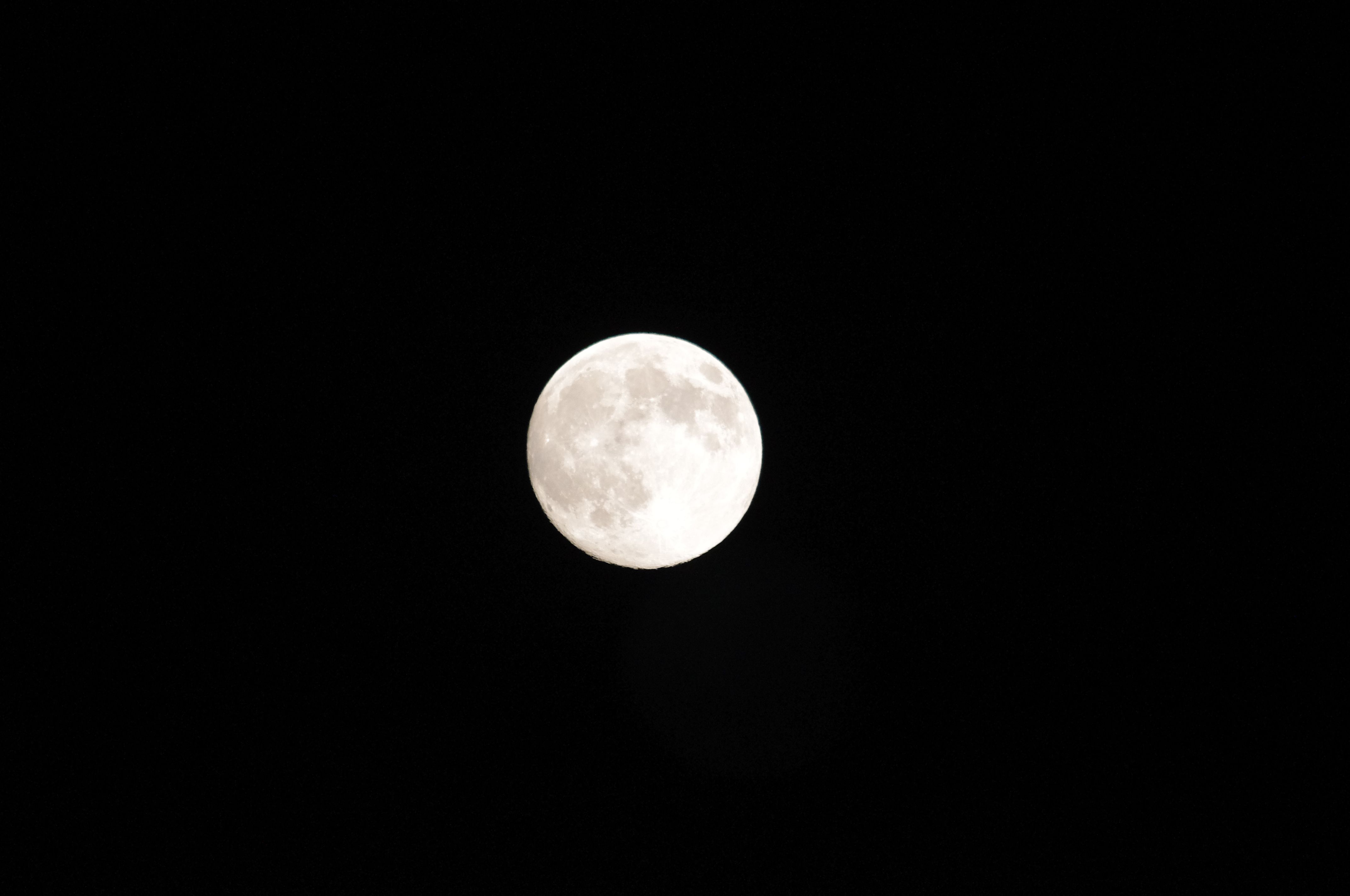 d0012812_19243675.jpg