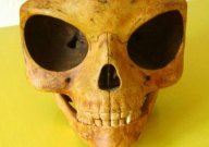 シーランドの頭がい骨:宇宙人の頭がい骨が見つかった!_e0171614_11133758.jpg