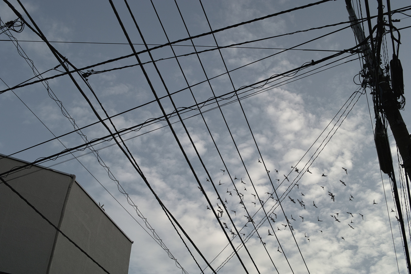 c0213117_1132790.jpg