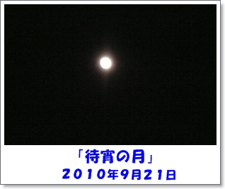 b0167519_85012.jpg
