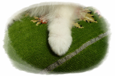 b0167519_8572722.gif