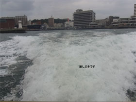 f0148320_1313230.jpg