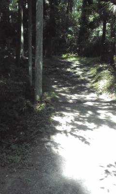 e0145328_11281759.jpg