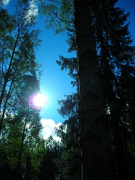 f0165730_10113.jpg