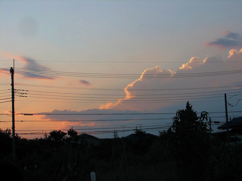 e0052135_2392218.jpg