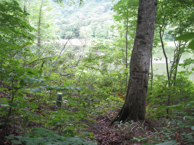 鉄魚の森　鉄魚の沼 2009/07/31～08/01_f0214235_22173255.jpg