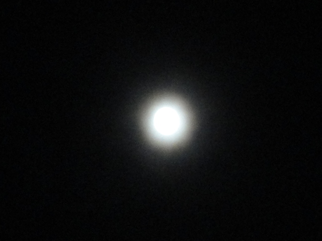 a0116439_165245100.jpg