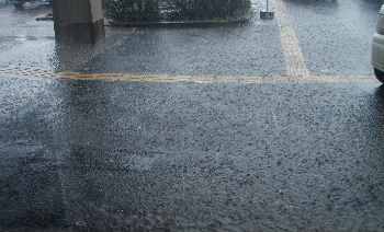 a0054240_20403734.jpg