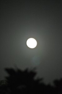 f0032340_00155.jpg