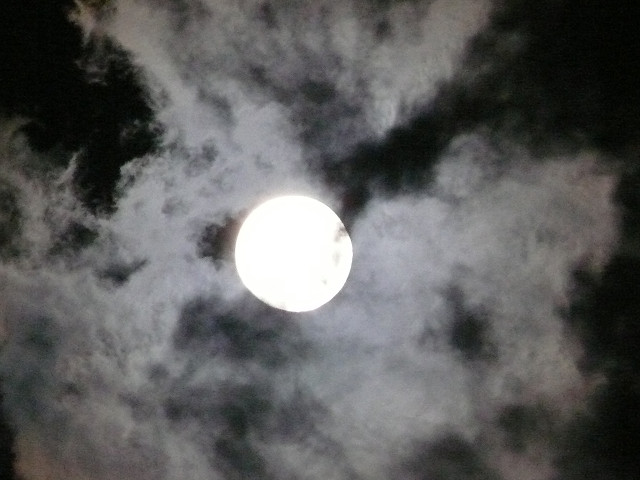 b0088444_20594372.jpg