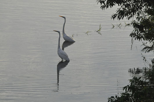 c0093046_055945.jpg