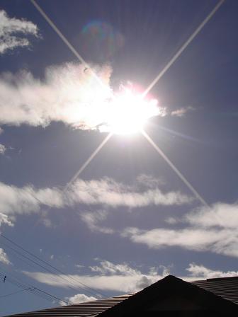 e0181047_154502.jpg