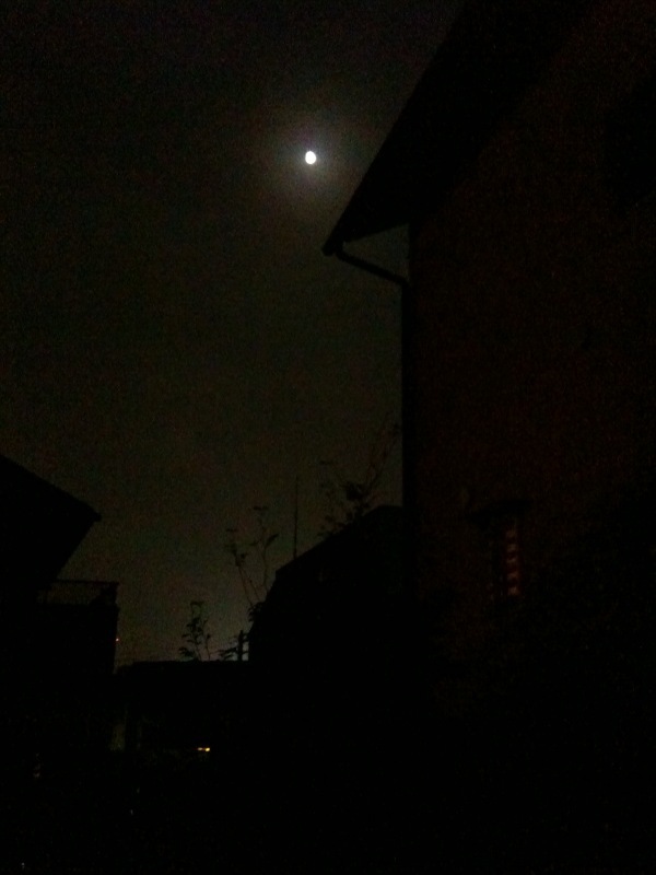 e0145248_2251336.jpg