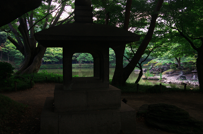 収穫の秋（小石川後楽園）_f0155048_0285347.jpg