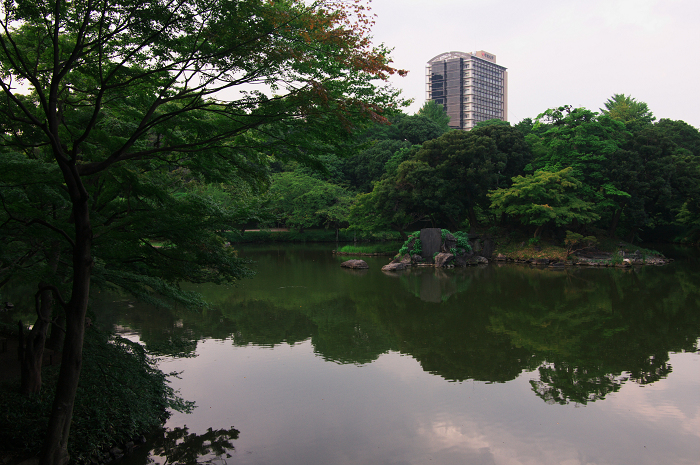 収穫の秋（小石川後楽園）_f0155048_0285781.jpg