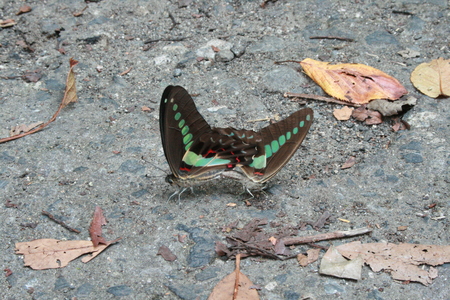d0105749_8234058.jpg