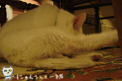 不意打ち王子_e0031853_18184431.jpg
