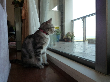 d0079255_2095284.jpg