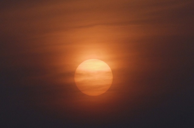 b0181457_559373.jpg
