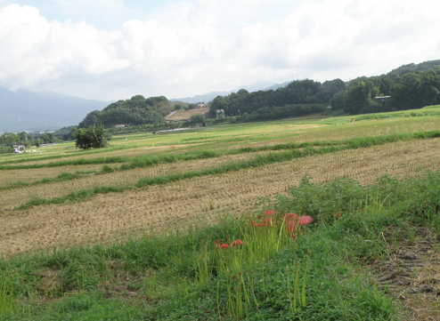 e0184558_86285.jpg