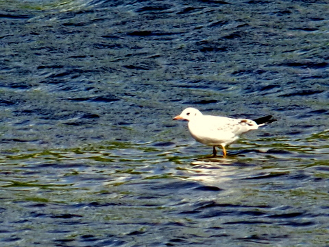 b0165760_20554049.jpg