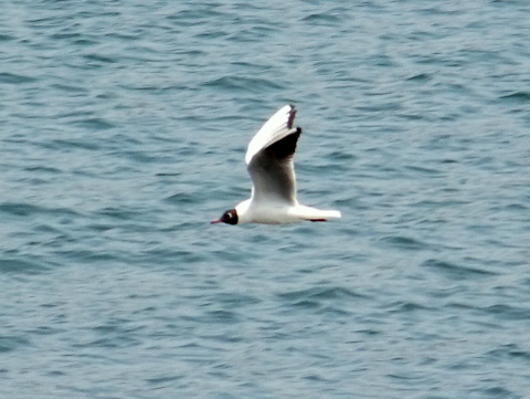 b0165760_213014.jpg