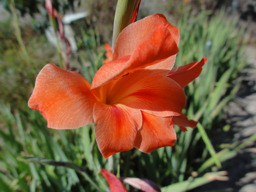 c0108460_14381697.jpg