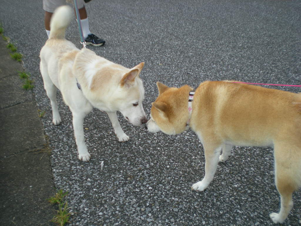 2010年9月22日(水)真夏日には窓洗浄!_f0060461_9495587.jpg