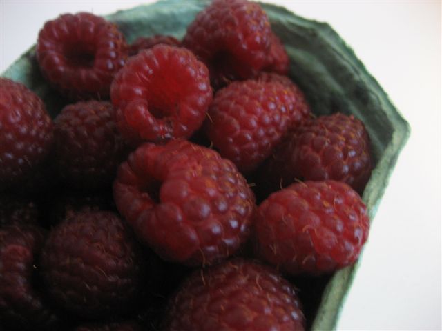 a0123465_232627.jpg