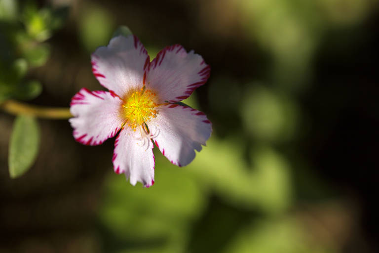 子供植物園（９月２２日）_c0057265_20521279.jpg