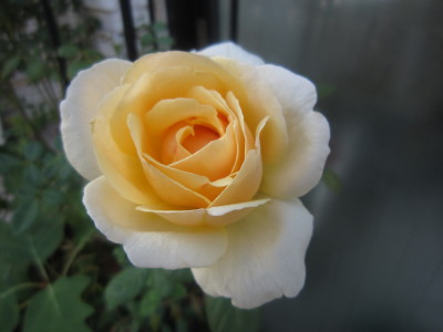 c0202870_81258.jpg
