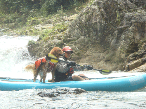 f0161874_2242525.gif