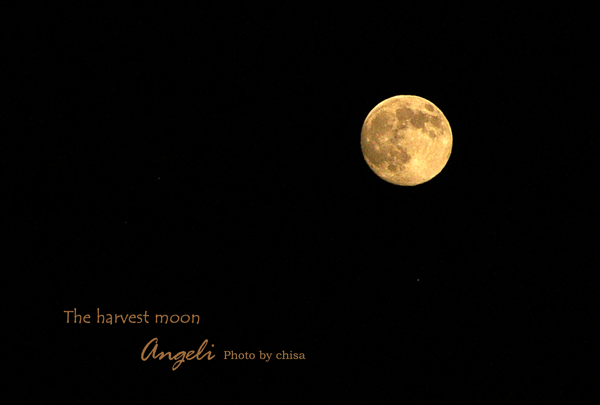 f0227975_22352530.gif