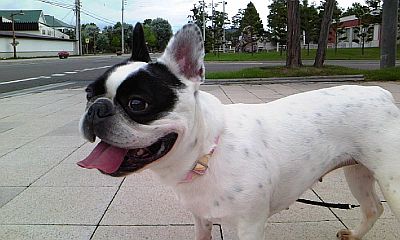 b0056476_12233871.jpg